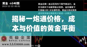 揭秘一炮通价格，成本与价值的黄金平衡点