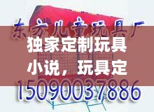 独家定制玩具小说，玩具定制需要什么图片 