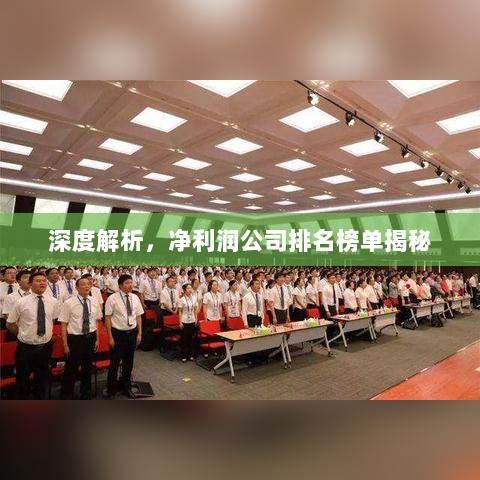 深度解析，净利润公司排名榜单揭秘