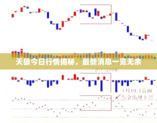 天狼今日行情揭秘，最新消息一览无余