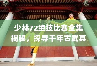 少林72绝技比赛全集揭秘，探寻千年古武真谛，领略震撼绝技魅力