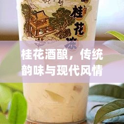 桂花酒酿，传统韵味与现代风情的完美结合，价格背后的故事