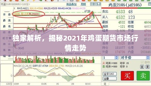 独家解析，揭秘2021年鸡蛋期货市场行情走势