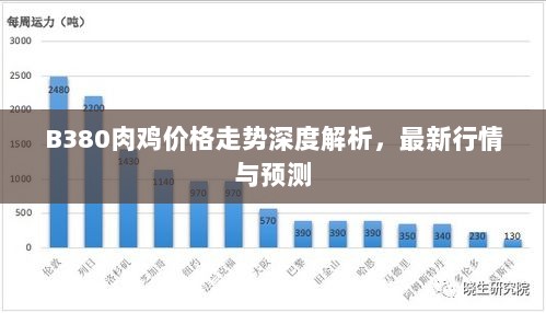 B380肉鸡价格走势深度解析，最新行情与预测