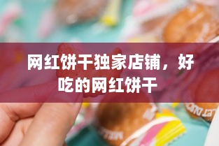 网红饼干独家店铺，好吃的网红饼干 