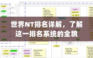 世界NT排名详解，了解这一排名系统的全貌