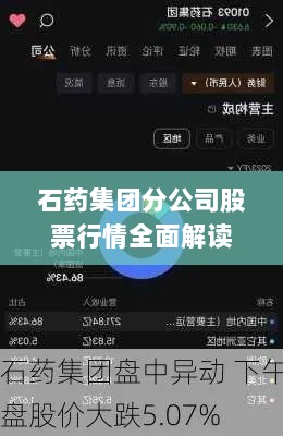 石药集团分公司股票行情全面解读