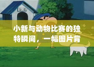 小新与动物比赛的独特瞬间，一幅图片背后的精彩故事