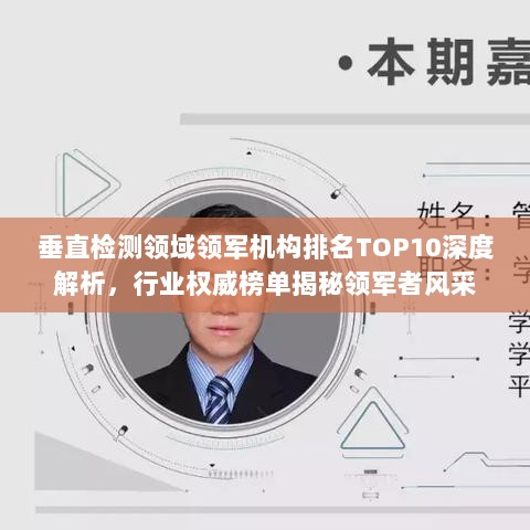 垂直检测领域领军机构排名TOP10深度解析，行业权威榜单揭秘领军者风采