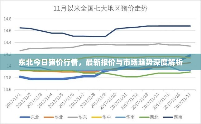 东北今日猪价行情，最新报价与市场趋势深度解析